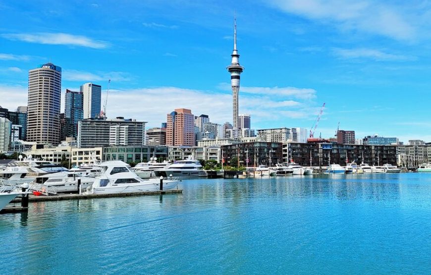 Auckland City Sightseeing Tour