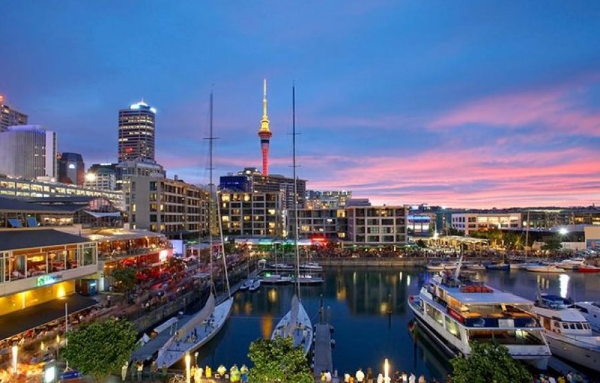 Auckland Full day City Tour. 8h covered Famous location.