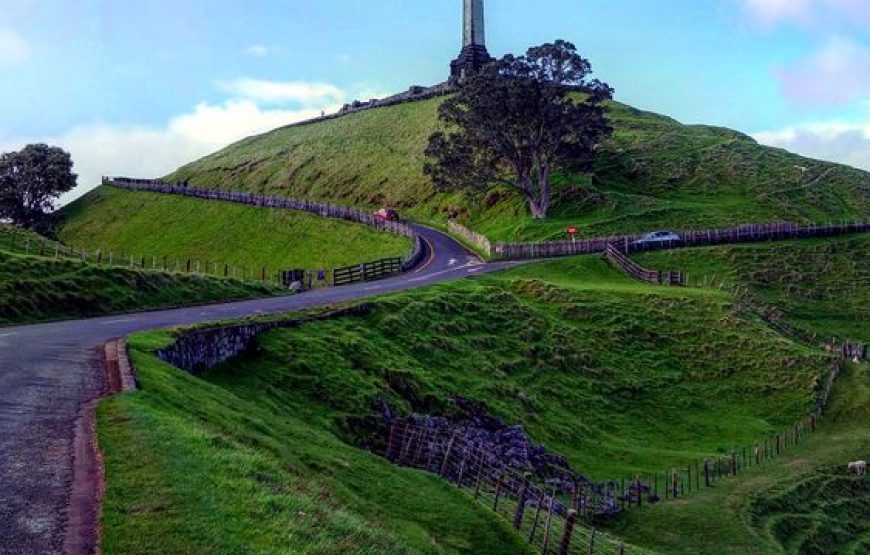 Auckland Full day City Tour. 8h covered Famous location.