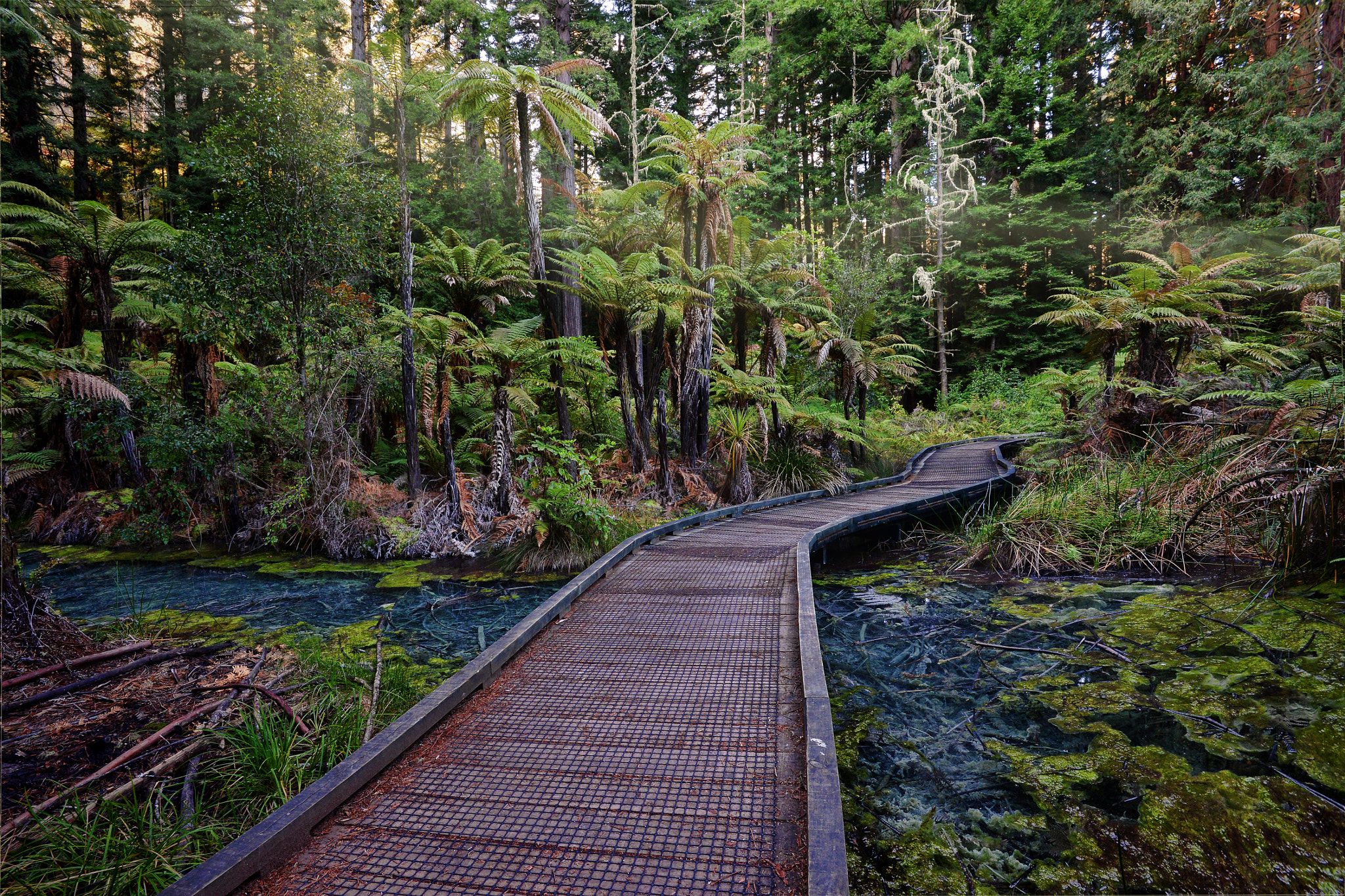 2nd Stop At: Redwoods, Whakarewarewa Forest, Long Mile Road The Redwoods, Rotorua 3046 New Zealand