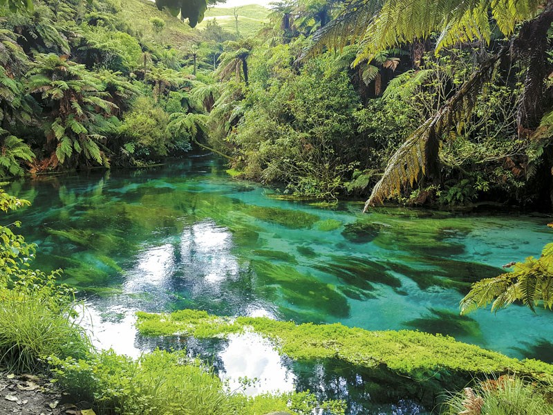 2nd Stop At: Putaruru, Putaruru, Waikato Region, North Island