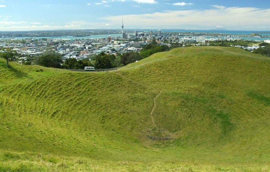 Auckland City Sightseeing Tour